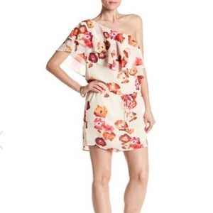 [Haute Hippie] one shoulder ruffle dress. Small